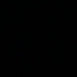 Meet your Posher, Iara